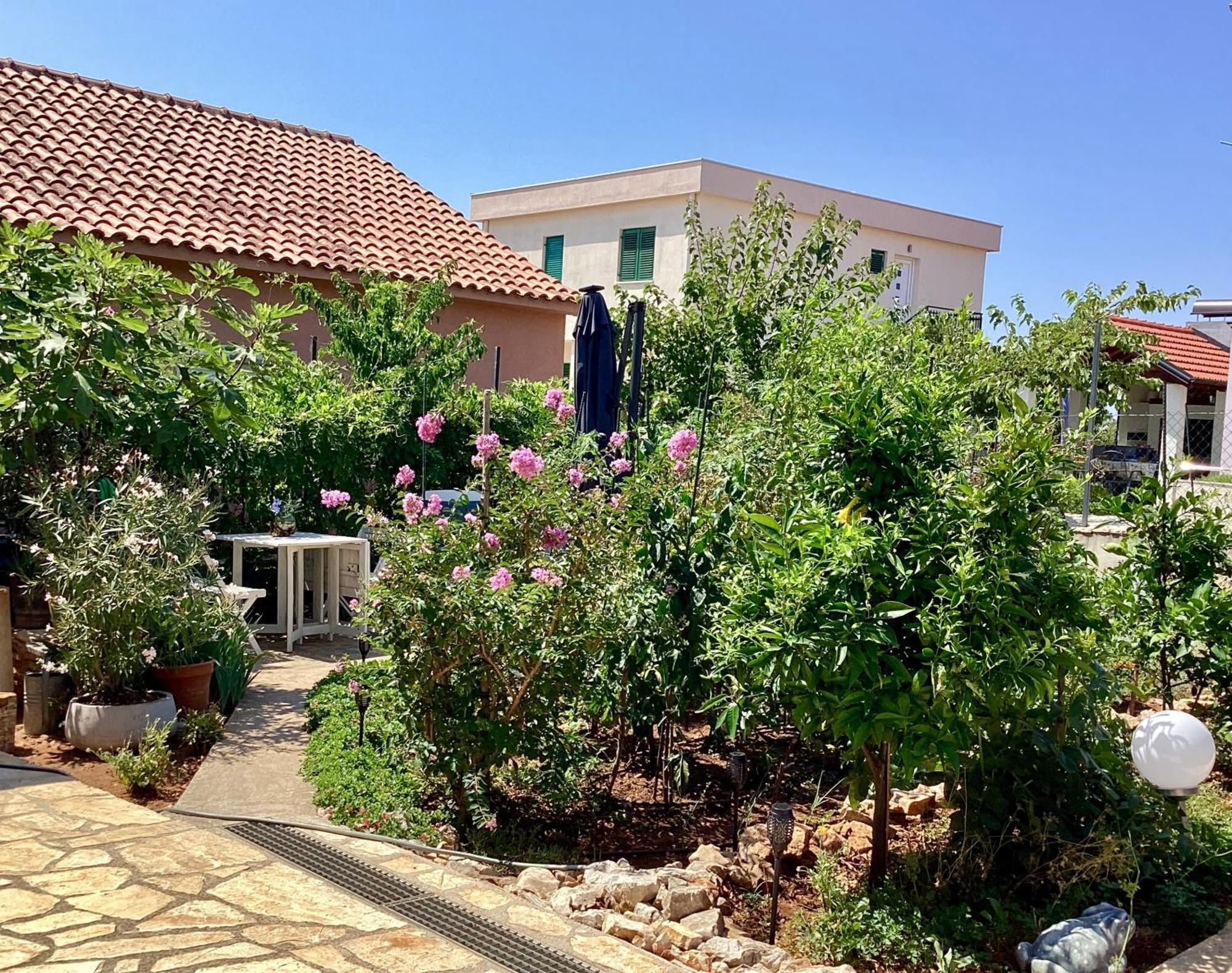 Apartmani Mate Rogoznica  Exteriör bild